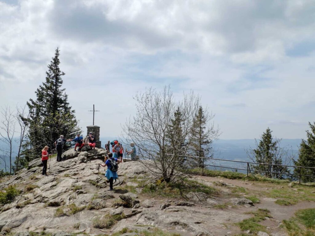 Gipfel Großer Falkenstein