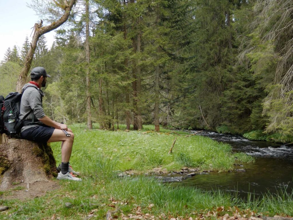 Rast am Großen Regen