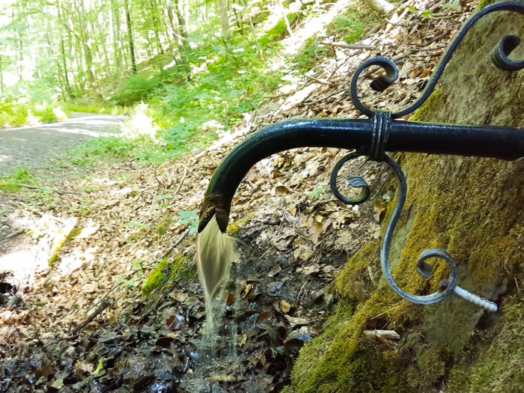 Quelle nach Neuhausen im Wald