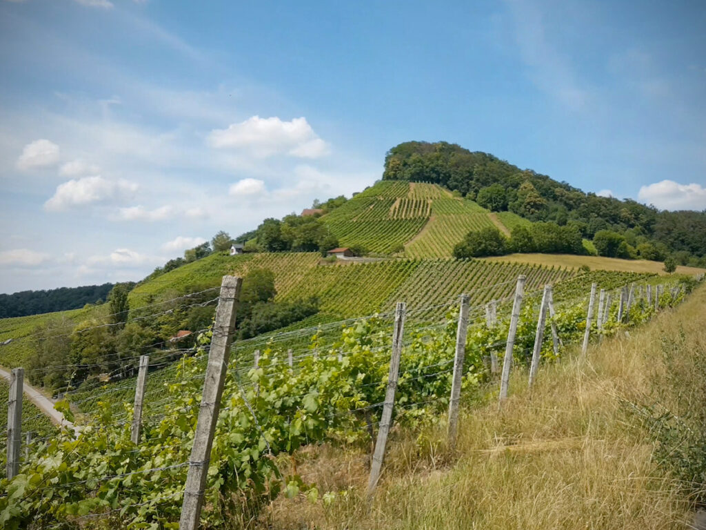 Stollburg Handthal