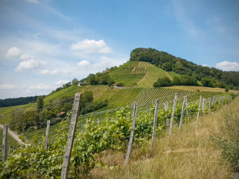 Stollburg Handthal