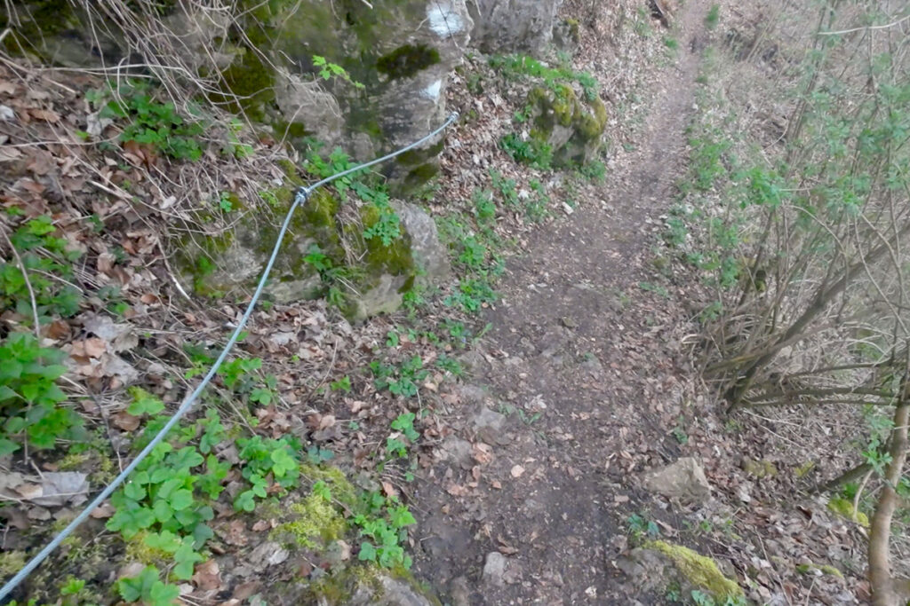 Rauchenbergersteig