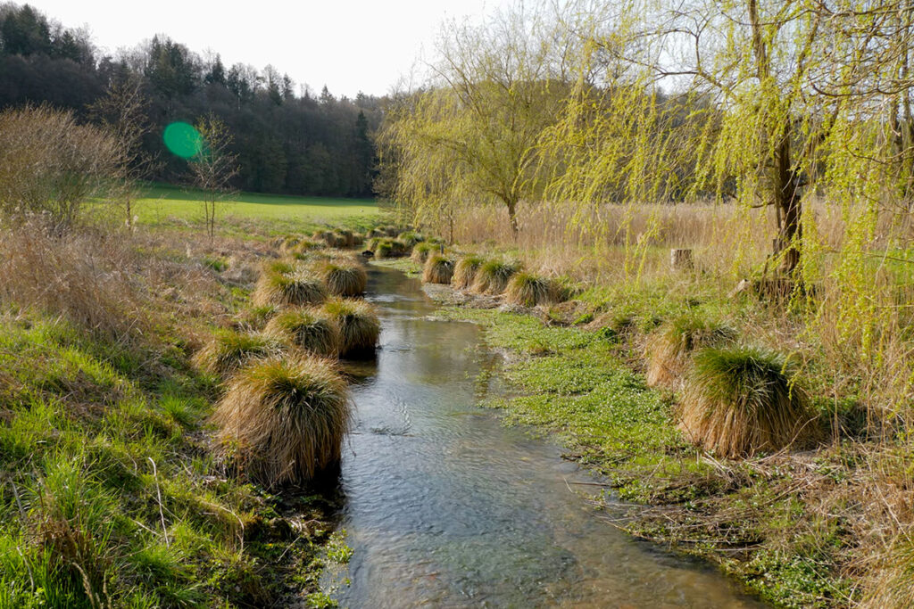 Schambach