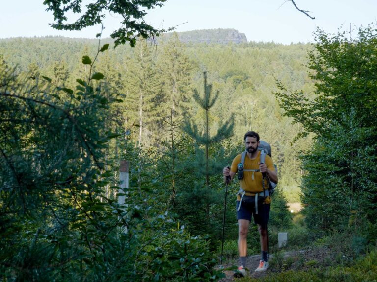 Forststeig an der Tschechischen Grenze