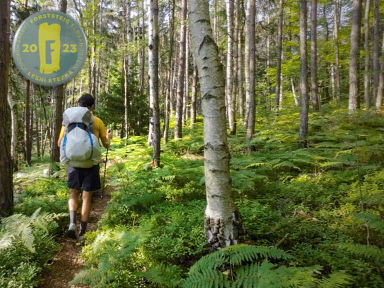 Mehr über den Artikel erfahren Elbsandstein – Forststeig ist grandios – Tag 3