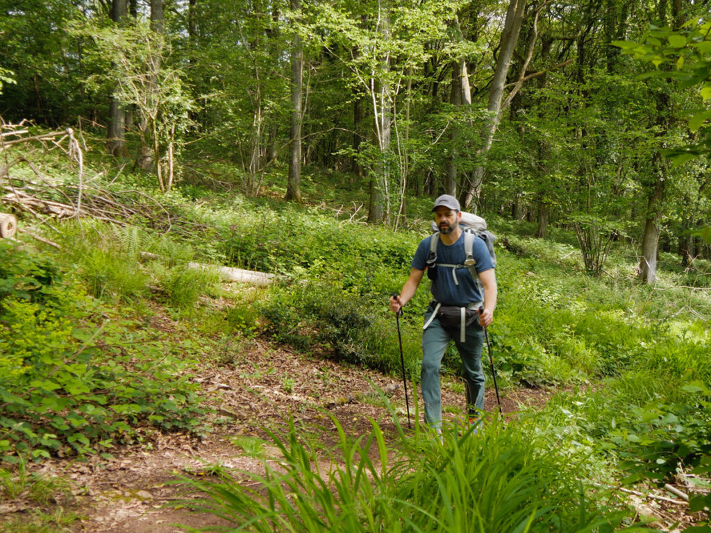 Im Wald hinter Monmouth