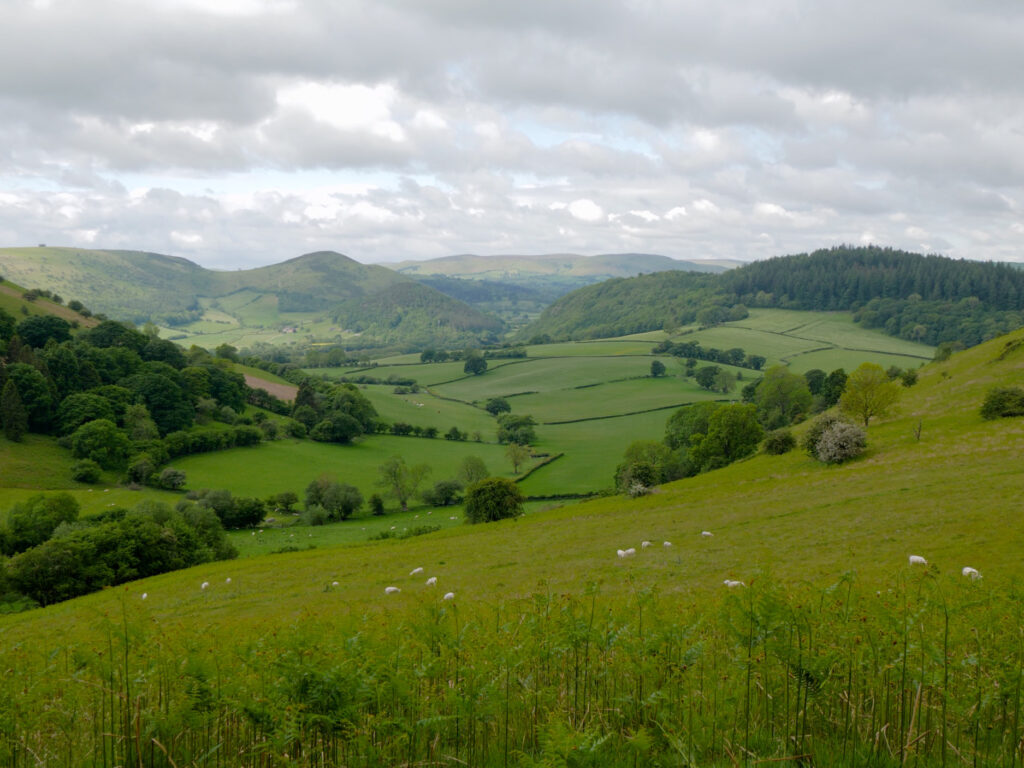 Landschaft