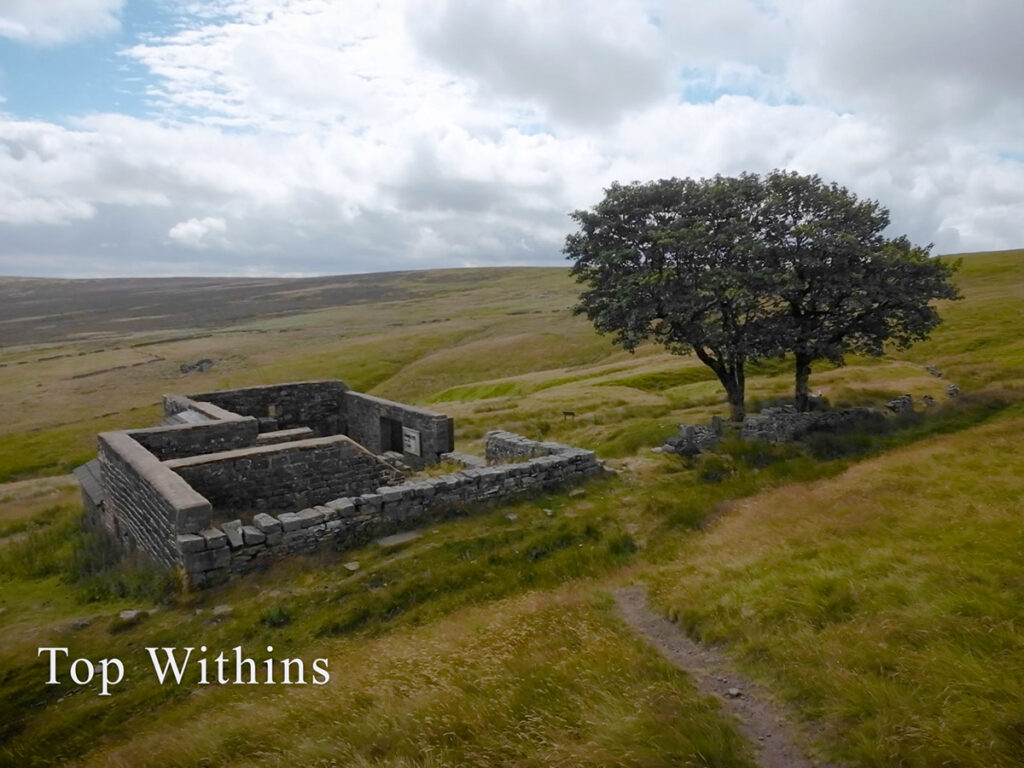 Top Withins