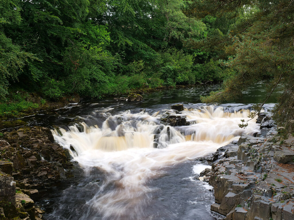 Low Force