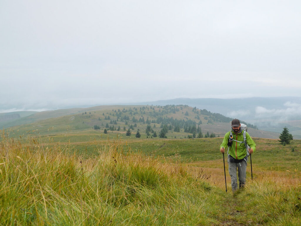Bezaubernde Cheviots