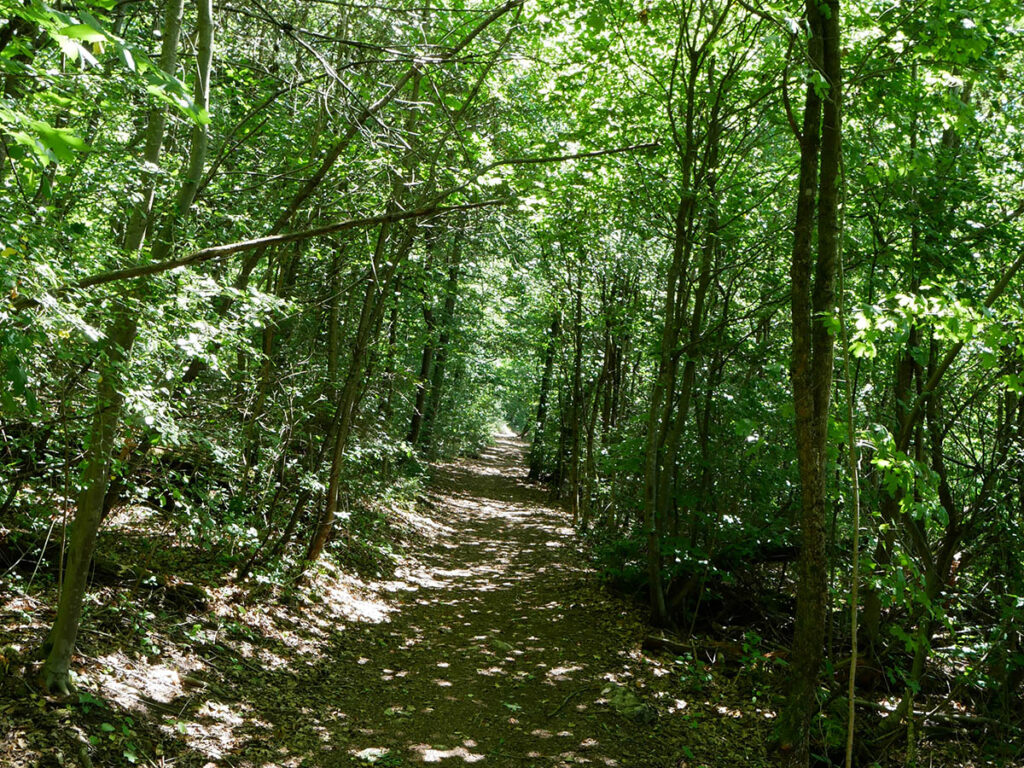 Altmühltal